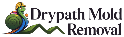 Drypath Mold Removal